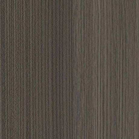 F37405-116夏末秋初